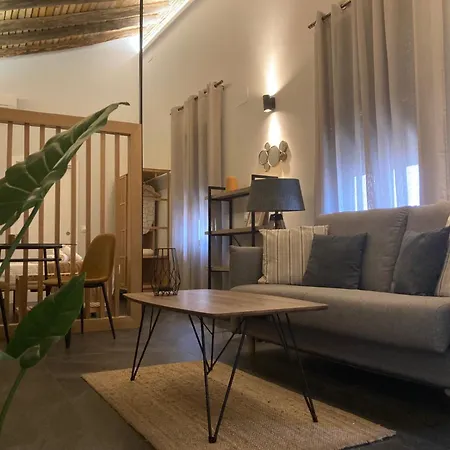 Apartamentos Cáceres Central Suites Torres de Cáceres-2